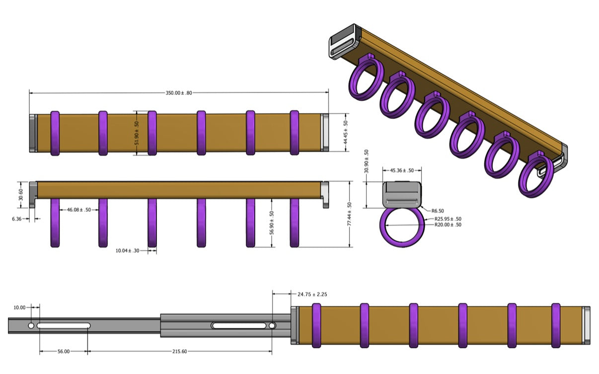 Richelieu 6-Rings Designer Wardrobe Reversible Closet Scarf Rack with Pullout Extension