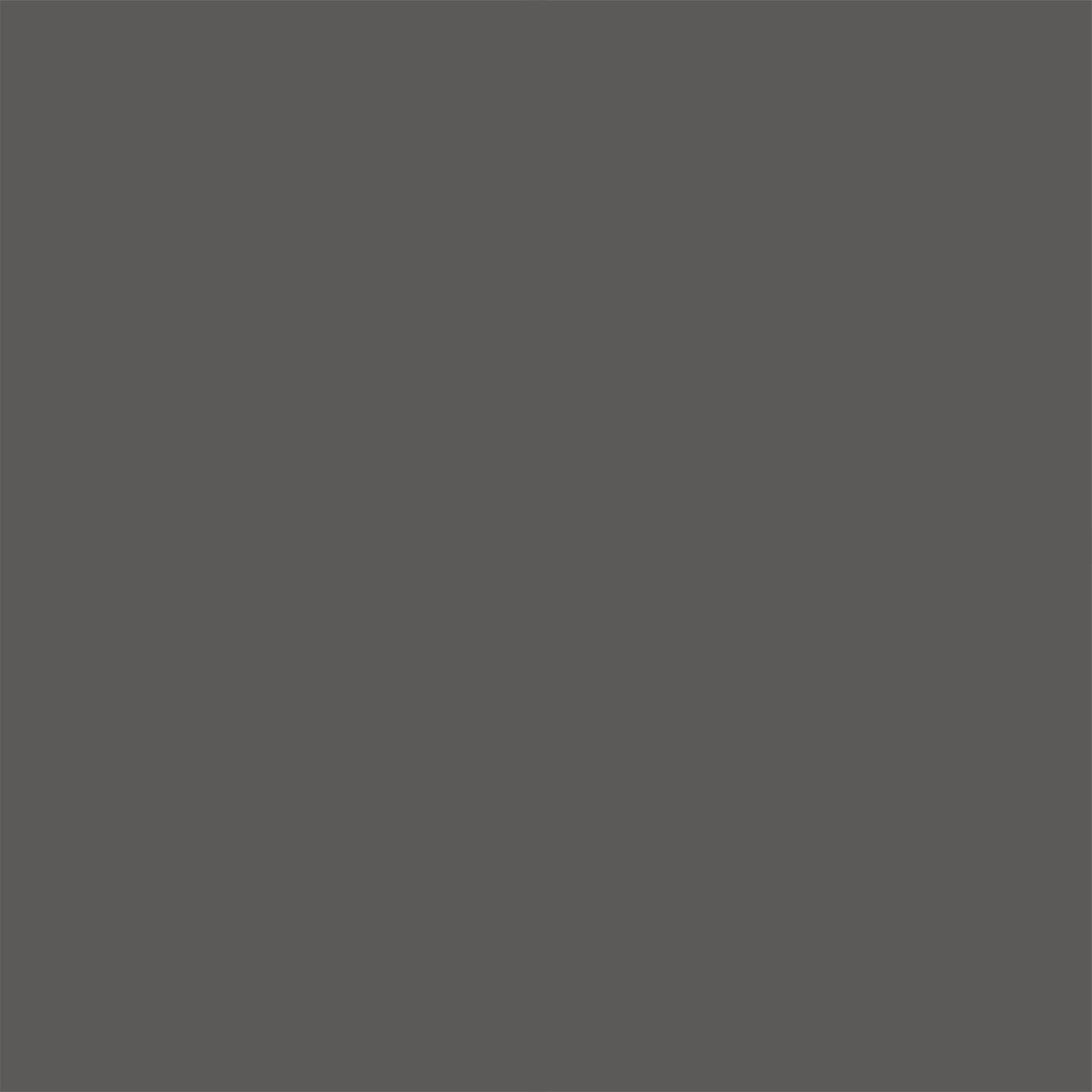 Rev-A-Shelf Pullout Trash Can for Full-Height Kitchen Cabinets 50 Quart 12.5 Gallon with Soft-Close Slides and Storage, Silver, 53WC-1550SCDM-117