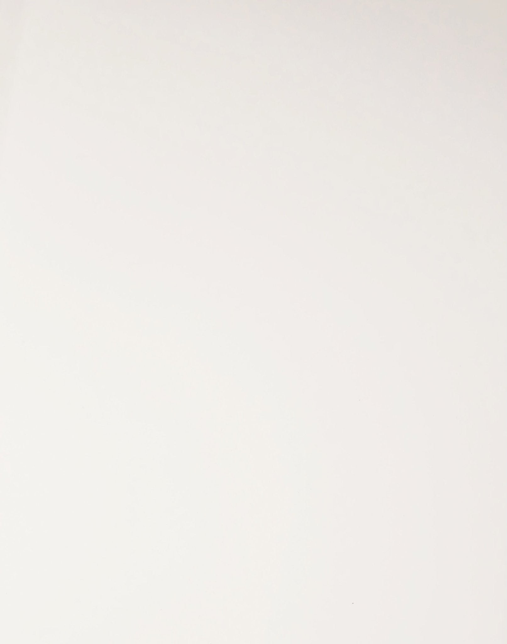 Kesseböhmer Premium Replacement Waste Bin for Pullout Trash Organizers - KI Home