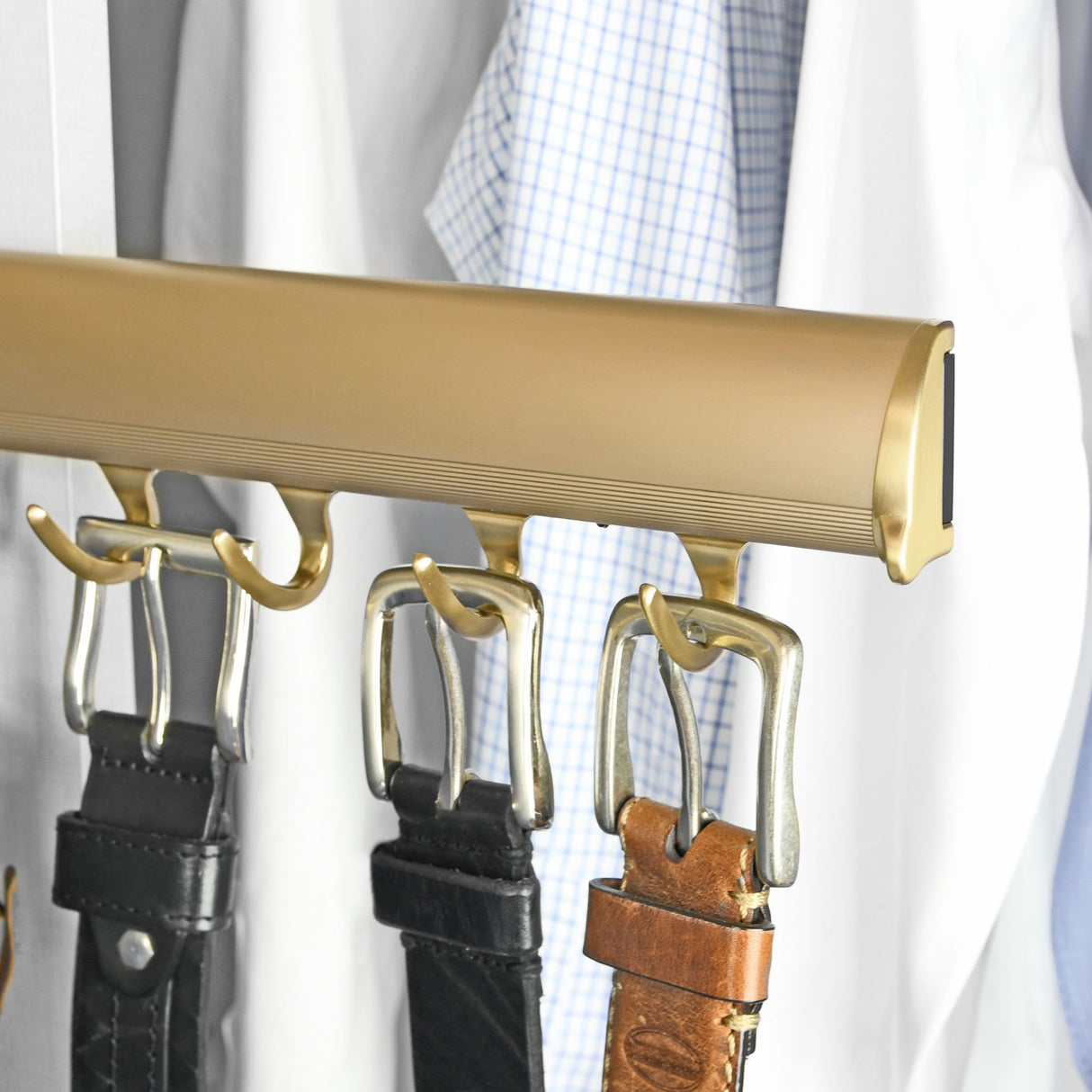 TAG Hardware Designer 6-Hook Valet Belt Tie Rack Closet Organizer with 13.75 Inch Extension